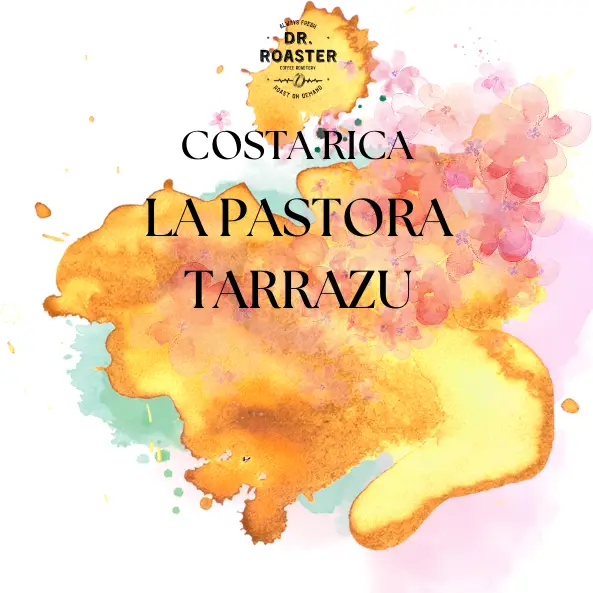 Costa Rica La Pastora Tarrazu - 250gr