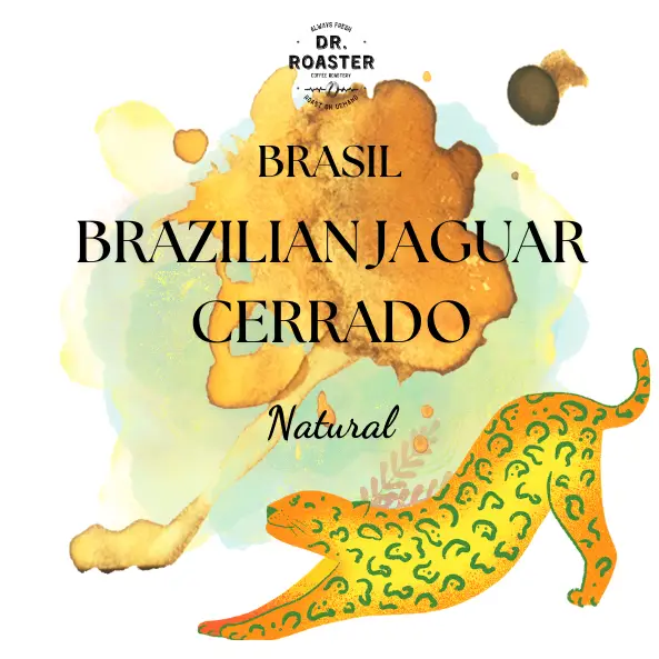 Brezilya Sc. 17/18 Cerrado Brazilian Jaguar