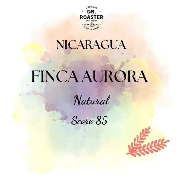Nicaragua Finca Aurora - 250gr
