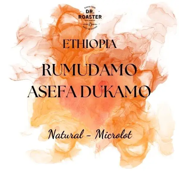 Ethiopia Rumudamo Asefa Dukamo - 250gr